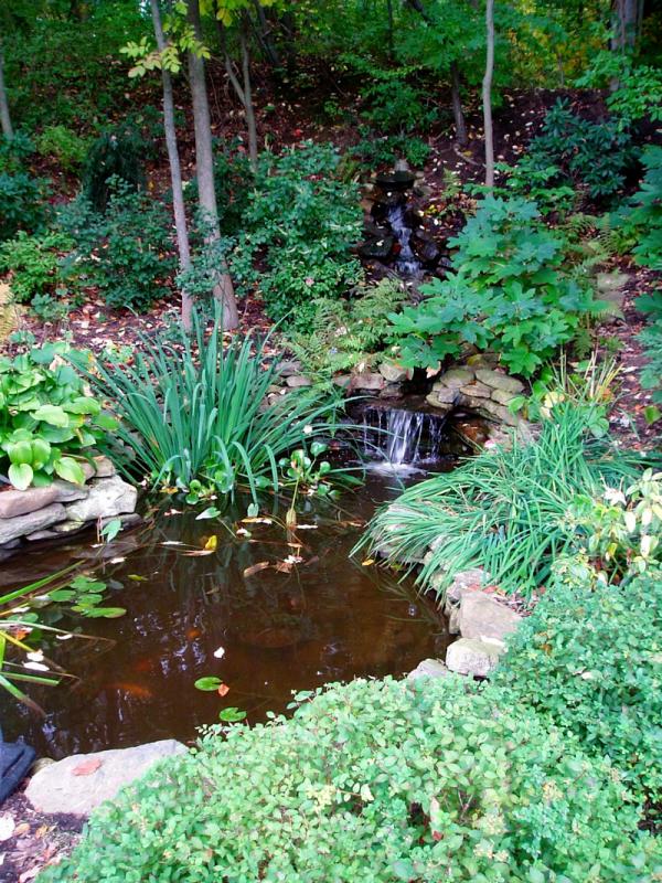 Celebrating 60 Years: Hillside Water Garden - Dahlkemper Landscape ...